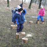 Opékání buřtů s MŠ u lesní správy 30.02.2009 7