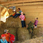 den v lese s DDM Volňásek Klášterec 4