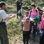 den v lese s DDM Volňásek Klášterec 8