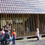 den v lese s DDM Volňásek Klášterec 9