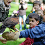 Klášterecky štěkot v zámeckém parku IV