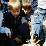 Klášterecky štěkot v zámeckém parku VII