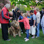 Klášterecky štěkot v zámeckém parku XI