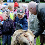 Klášterecky štěkot v zámeckém parku XII