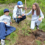 lesní projekt s kláštereckou čtyřkou 1