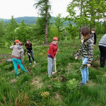 lesní projekt s kláštereckou čtyřkou 5