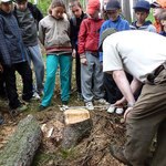 lesní projekt s kláštereckou čtyřkou 8