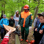 lesní projekt s kláštereckou čtyřkou 9