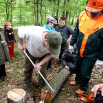 lesní projekt s kláštereckou čtyřkou 10