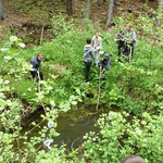 lesní projekt s kláštereckou čtyřkou 13