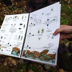 lesní projekt s kláštereckou čtyřkou 14