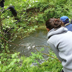 lesní projekt s kláštereckou čtyřkou 15