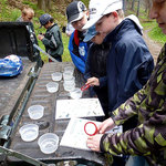 lesní projekt s kláštereckou čtyřkou 20