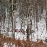 Lesní stopou 24.02.2009 3