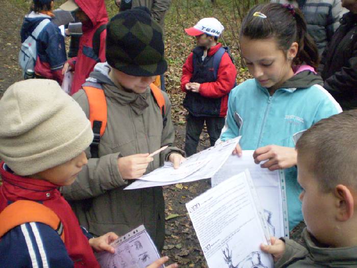 2010 – Lesní pedagogika – Lesní stopou