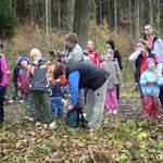 Lesní stopou 06.11.2010 5