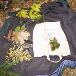 Lesní stopou 06.11.2010 14