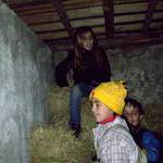 Lesní stopou 06.11.2010 16