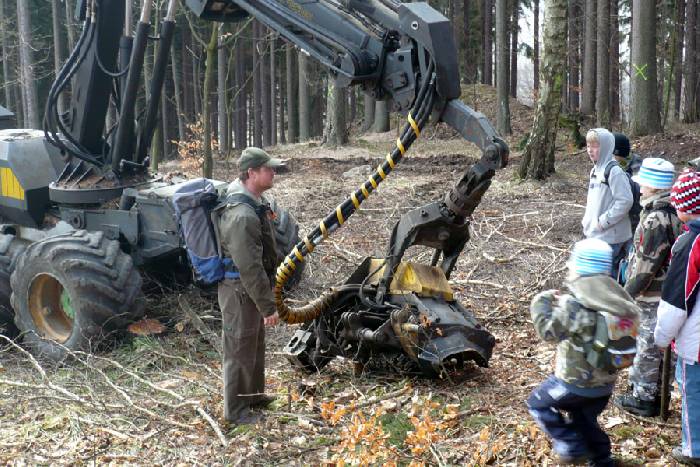 2011 – Lesní pedagogika – Lesní stopou a V lese není třeba se bát