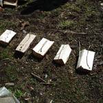 Lesní stopou 19.03.2011 22