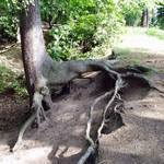 Vycházka s MŠ Perštejn 16.06.2010 2