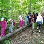 Vycházka s MŠ Perštejn 16.06.2010 14