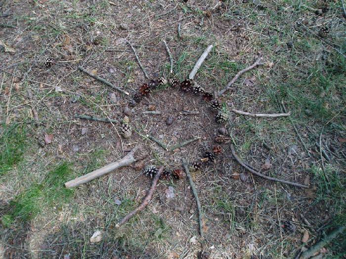 2010 – Lesní pedagogika – vycházka s MŠ Perštejn