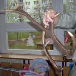 MŠ Písnička - Kadaň 10.12.2009 12