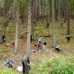 život ve vodě (práce s určovacími klíči) I