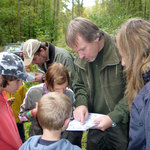 život ve vodě (práce s určovacími klíči) III