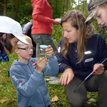 život ve vodě (práce s určovacími klíči) IV