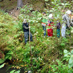 život ve vodě (práce s určovacími klíči) V